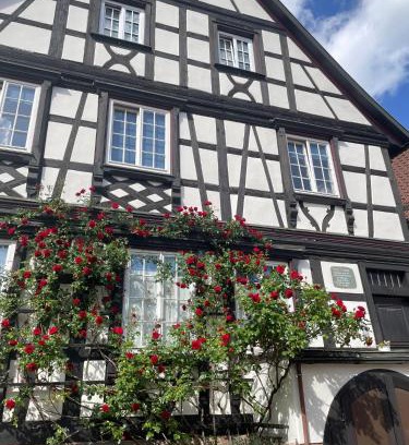 Gengenbach Apartamento | Apartment im Scheffelhaus