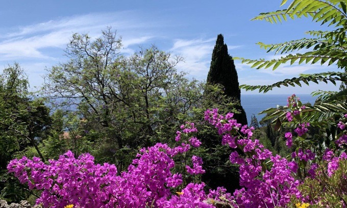 Vallebona Apartamento | apartment in 70´s building in the Olive Jungle 3km off the mediterranean