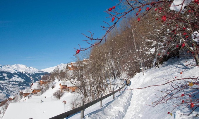 Veysonnaz Apartamento | Apartamento en Veysonnaz cerca del telesilla
