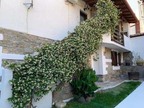 Agios Nikolaos Apartamento | Apartment in Agios Nikolaos near Beach