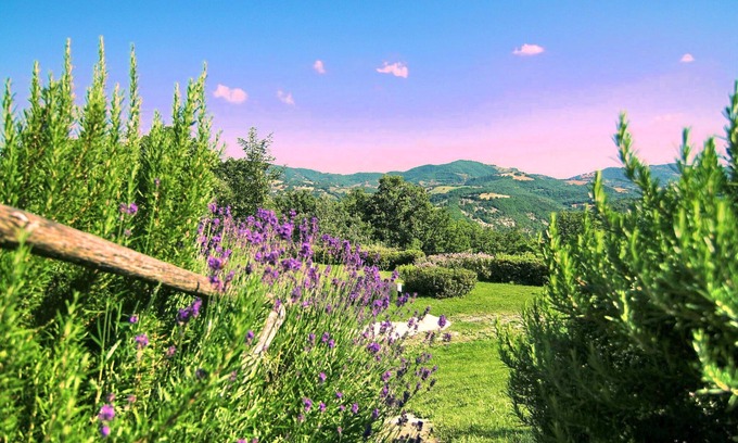 Assisi Apartamento | Apartamento en Granja en las amapolas cerca de Asís