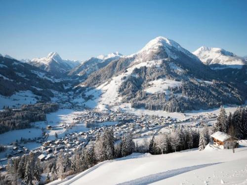 Kitzbuehel Apartamento | Apartment in Kirchberg near Ski Lift
