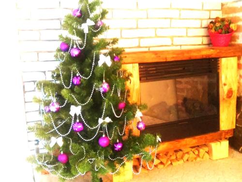 Kosuv Stary Apartamento | Apartment in the city center mini