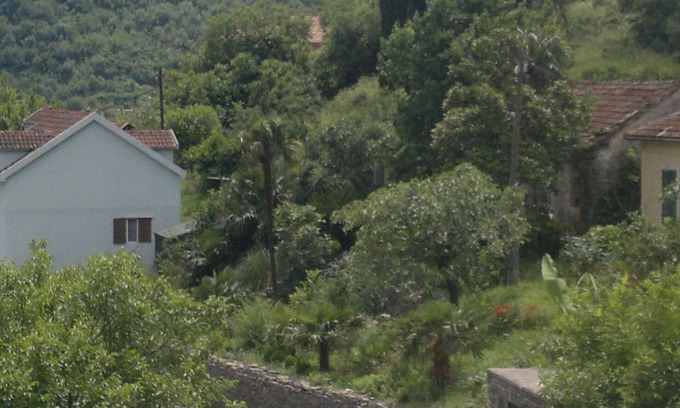 Zelenika Apartamento | Apartamento en Zelenika, 3-4km cerca de Herceg Novi. Wi - Fi, Plaza de aparcamiento