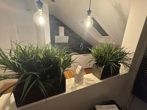 Andernach Apartamento | Apartment inklusiver großer Terrasse