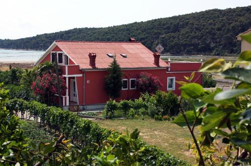 Suha Punta Apartamento | Apartment Kampor 4972b