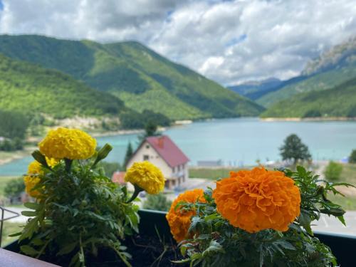 Pluzine Apartamento | Apartment LAKEVIEW
