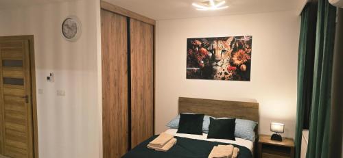 Przemysl Apartamento | Apartment Maya 69