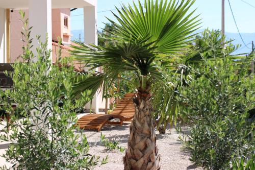 Cove Basina (Jelsa) Apartamento | Apartment Miran