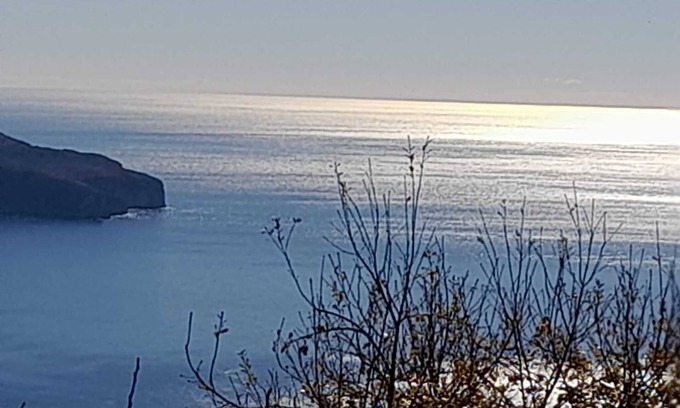 Pisciotta Apartamento | Apartamento 'Monolocale Mimosa' con vistas al mar, Wi-Fi y aire acondicionado