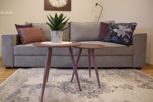 Celje Apartamento | Apartment Nobl plac
