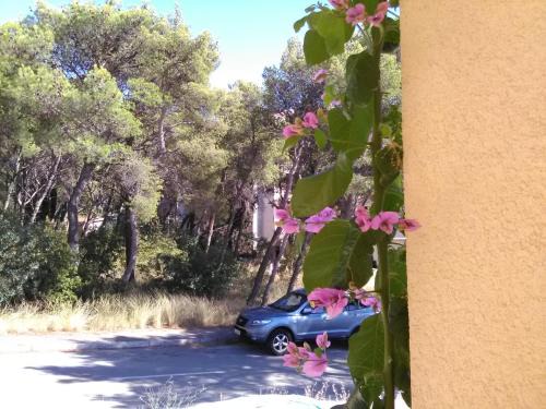 Sibenik Apartamento | Apartment Petrus