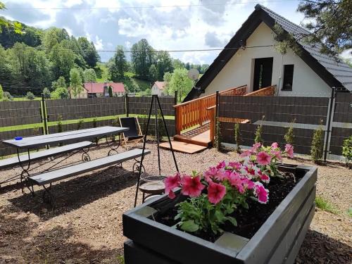 gmina Lewin Kłodzki Apartamento | Apartment pod Sysunia