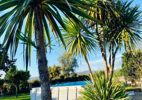 Pousada Apartamento | Apartment QUINTA DE AREIAS