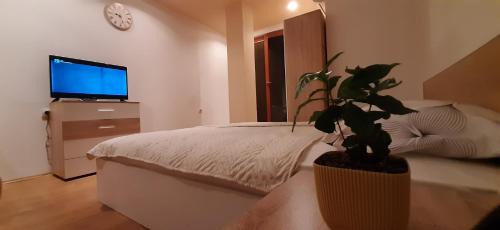 Ohrid Apartamento | Apartment Riki 2