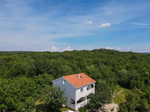 Skrbcici Apartamento | Apartment & Room Danijel
