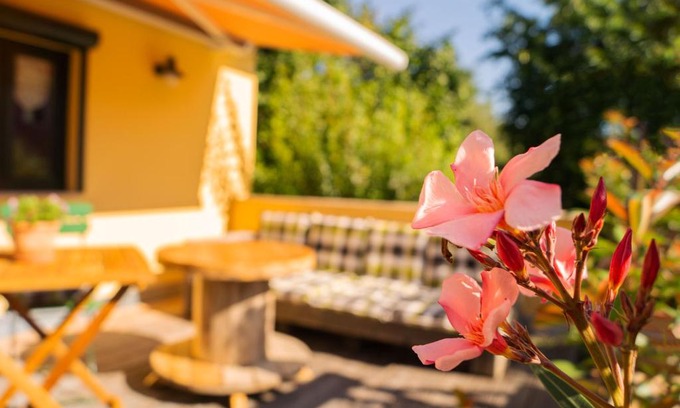 Weimar Apartamento | Apartment Sonnenschein