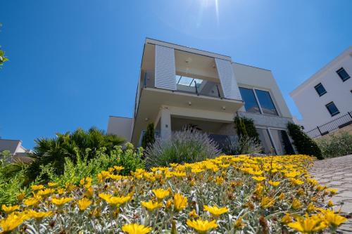 Susica Apartamento | Apartment Summer dreams 2