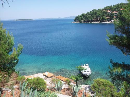 Island Dugi Otok Apartamento | Apartment Viktor