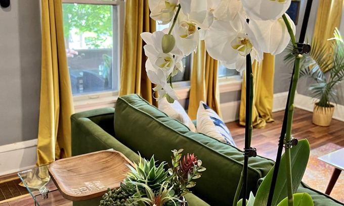 West Akron Apartamento | Apartment with a boho, relaxed and soulful vibe in the heart of Highland Square.