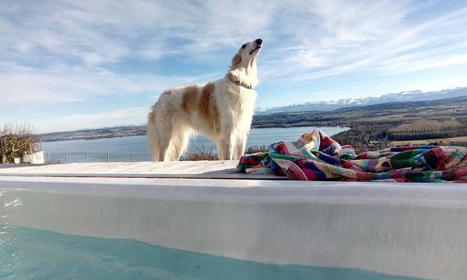 Bellerive Apartamento | Spa climatizado al aire libre con vista al lago y montaña, admite mascotas