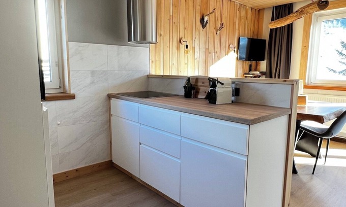 Mallnitz Apartamento | Apartment with mountain view | great skiing and hiking area | near Bad Gastein