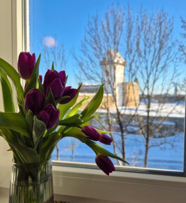 Narva Apartamento | Apartment with Narva Castle view