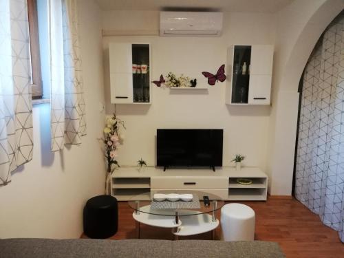 Stinjan Apartamento | Apartment Zdravko