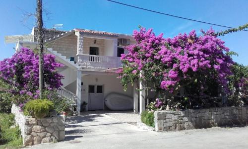 Sucuraj Apartamento | Apartments Žile