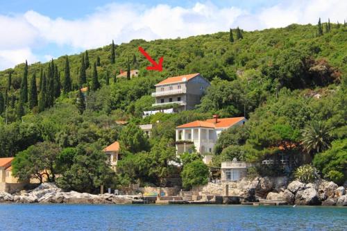 Molunat Apartamento | Apartments Antunović