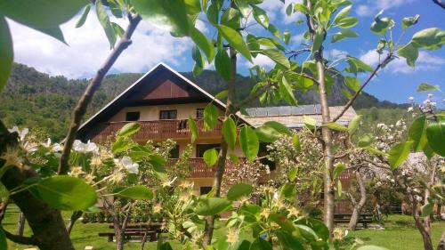 Bohinj Apartamento | Apartments Arh