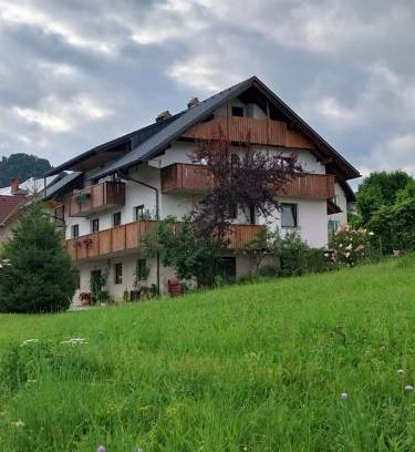 Zgornje Gorje Apartamento | Apartments at Klemen