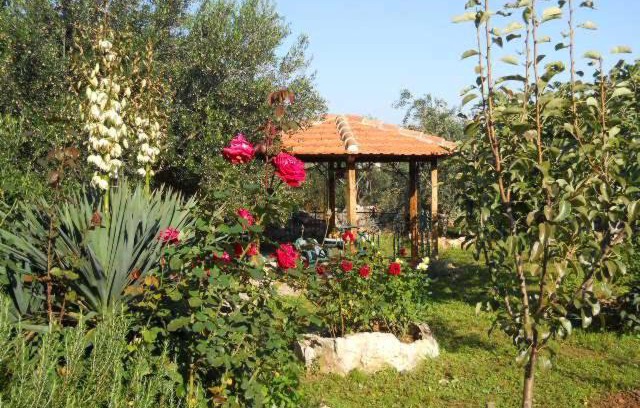 Sutomiscica Apartamento | Apartments Branimir