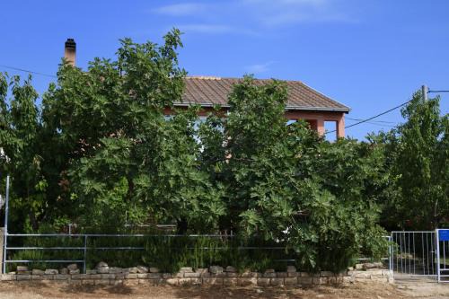 Gornji Karin Apartamento | Apartments by the sea Gornji Karin, Novigrad - 11806