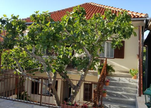 Municipality of Posedarje Apartamento | Apartments by the sea Posedarje, Novigrad - 12402