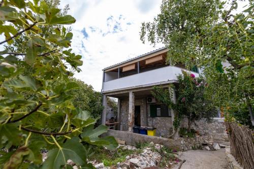 Sucuraj Apartamento | Apartments by the sea Sucuraj, Hvar - 22494