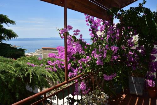 Bili brig Apartamento | Apartments Dobrinic