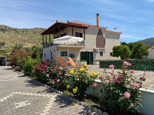 Petra Apartamento | Apartments Fotoula