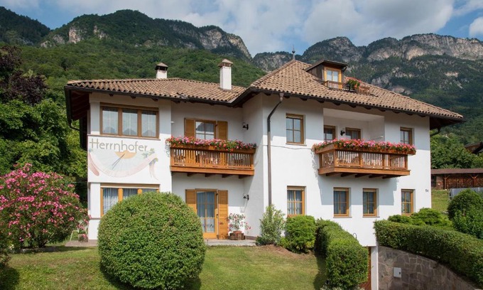 Caldaro Sulla Strada del Vino Apartamento | Apartments Herrnhofer