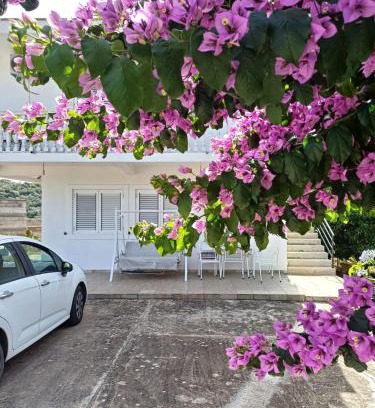 Ulcinj Apartamento | Apartments Ivana