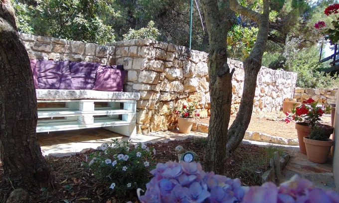 Cove Donja Krusica (Donje selo) Apartamento | Apartments Jagoda (10992-A2) - Donja Krušica
