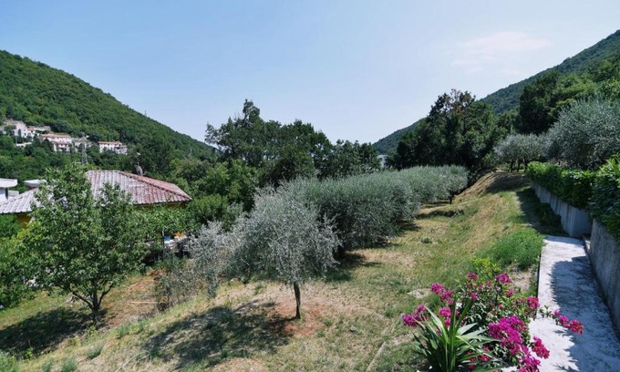 Sucici Apartamento | Apartments Jolanda