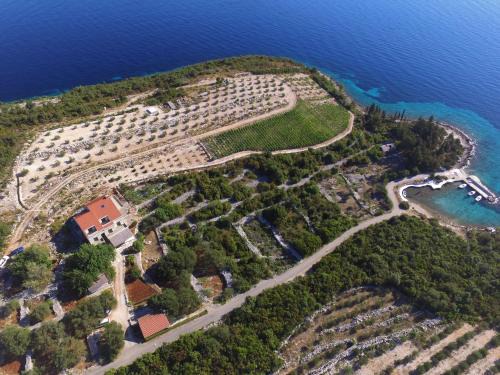 Kneza Apartamento | Apartments Koras