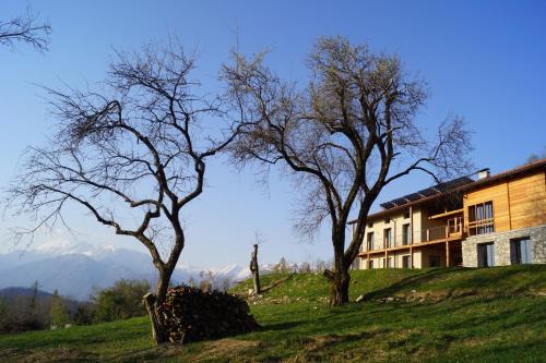 Tolmin Apartamento | Apartments Lom