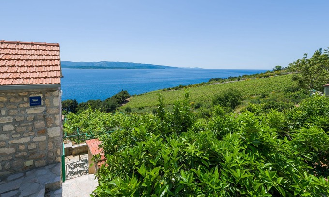 Murvica Apartamento | Apartments Nada (97951-A3) - Bol - island Brac