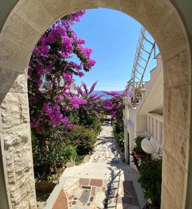 Sucuraj Apartamento | Apartments Nada