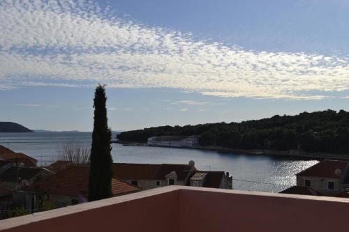 Prvic Luka Apartamento | Apartments Nanini