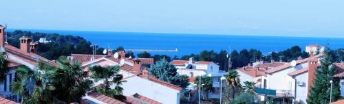 Brulo Apartamento | Apartments Radmila