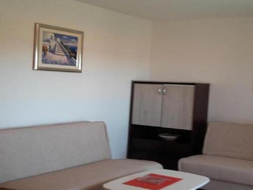 Gornji Karin Apartamento | Apartments Smilje i Maslina - One Bedroom Apartment with Terrace 1