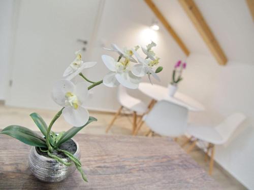 Gornji Kono Apartamento | Apartments Sweet Escape - Studio Apartment with Terrace and Sea View 1